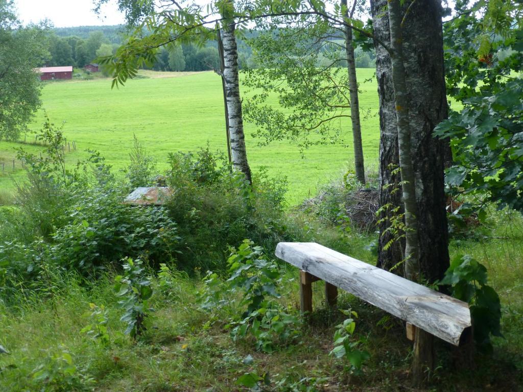 Praestmyrens Vandrarhem Ransäter Camera foto